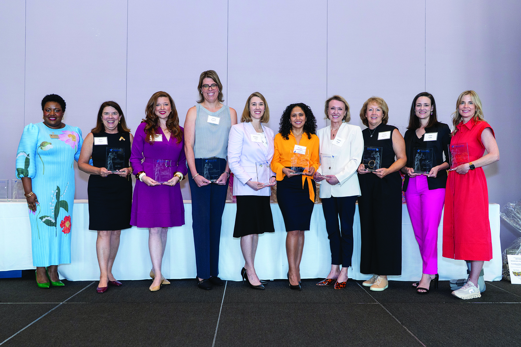 Featured image for “Record-Breaking $100,000 in Grants Awarded During Annual TCWLF / TCWLA Awards Lunch”